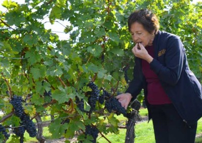 Lena Pillitteri in the Vineyard