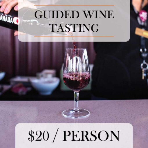 Guided wine tasting